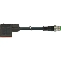 Murrelektronik Verbindungsleitung 7072-40881-7540200