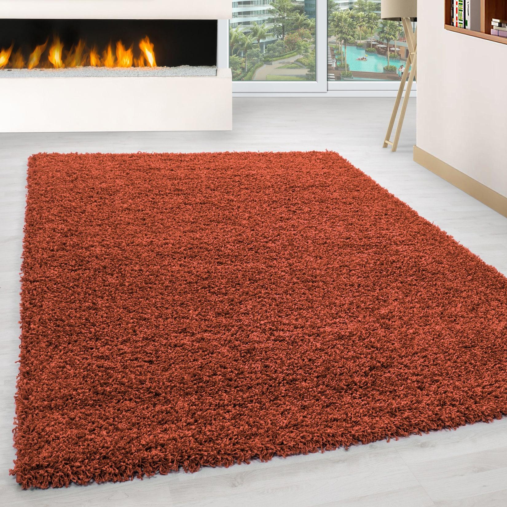 Hochflorteppich RHEIN, einfarbig, Terrakotta, 300 x 400 cm