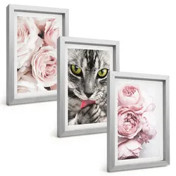 BILDER SET 3er Set - 20x30 cm Silberner Rahmen - Katze in rosa Blumen