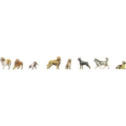 NOCH N NO 3D Master Hunde 0035760