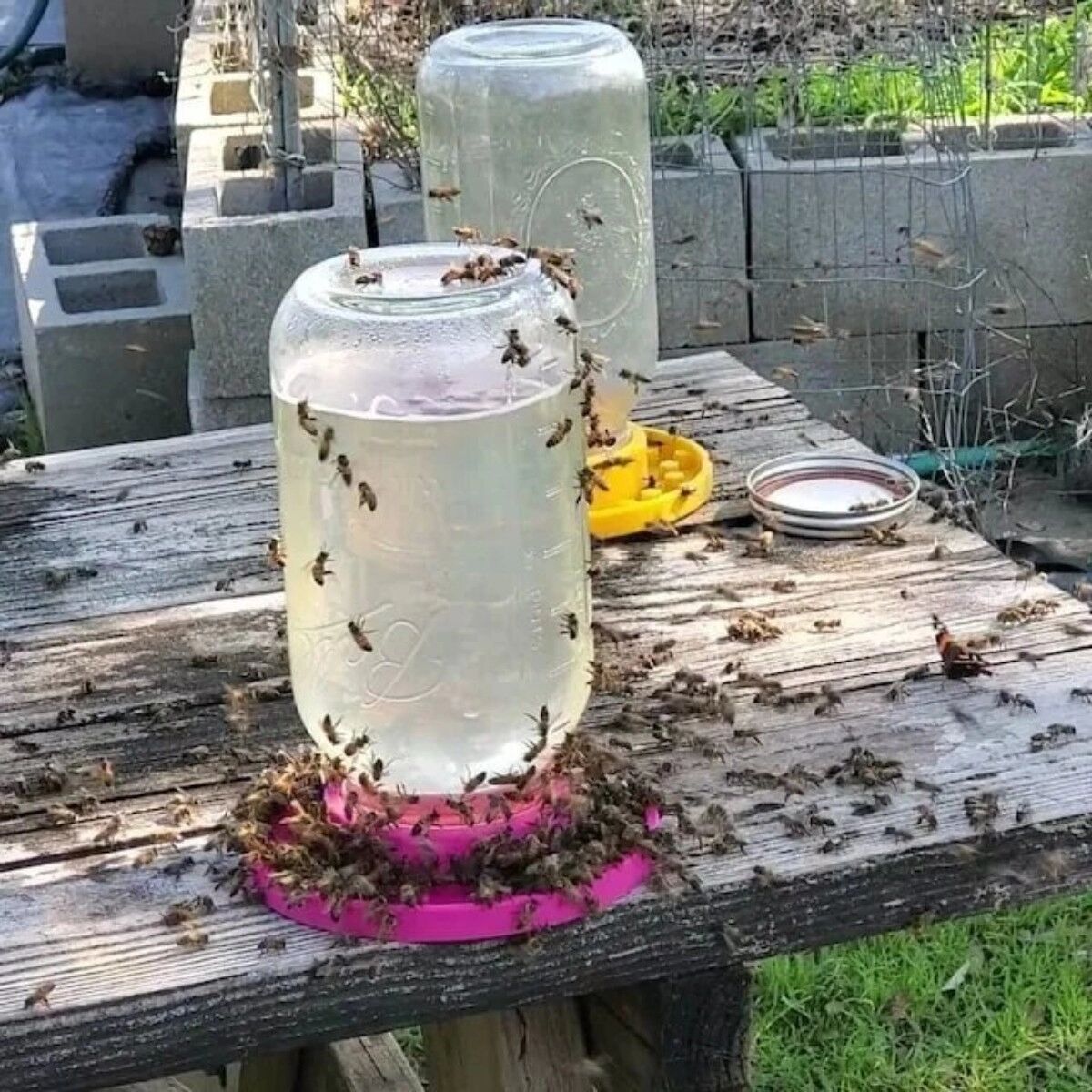 INF Outdoor-Bienenfütterer mit Futterglas — Kunststoff- und Glas-Mason-Glas-Futterspender für Mason-Gläser mit normaler Grün