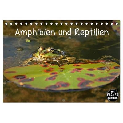 Amphibien und Reptilien (Tischkalender 2026 DIN A5 quer), CALVENDO Monatskalender