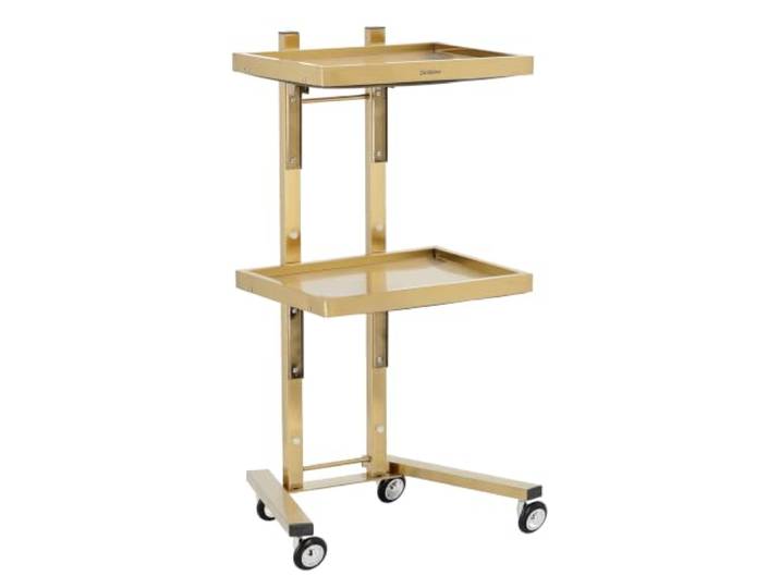 Calissimo Kosmetikwagen und Friseurwagen für Salon, universeller Rollschrank auf Rollen mit 2 verstellbaren Ablagen, Gold