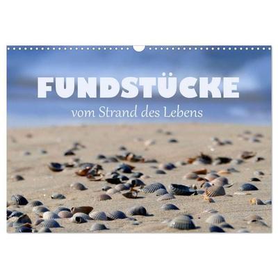 Fundstücke vom Strand des Lebens (Wandkalender 2027 DIN A3 quer), CALVENDO Monatskalender
