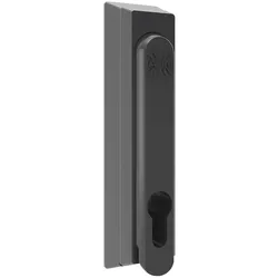 ABN Schwenkhebel FZ12N10 (VE10)