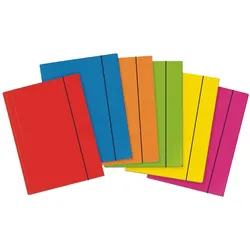 Veloflex, Mappe, Ordnungsmappe (A3)