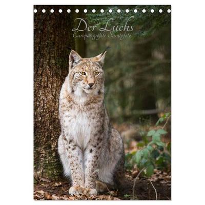 Der Luchs - Europas größte Samtpfote (Tischkalender 2027 DIN A5 hoch), CALVENDO Monatskalender