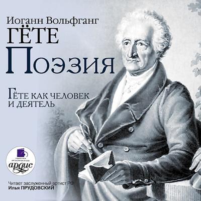 Poeziya. Gete kak chelovek i deyatel' - Johann Wolfgang von Goethe,Nikolaj Holodkovskij, Audio, 4064066548629