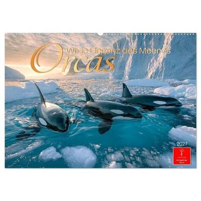 Orcas - Wilde Eleganz des Meeres (Wandkalender 2027 DIN A2 quer), CALVENDO Monatskalender