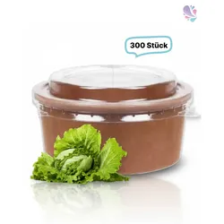 SET: Salatboxen Salatschalen braun 750ml + RPET Deckel, 300 Stück, to go, take away, biologisch abbaubar, Kraftpapier+ PLA