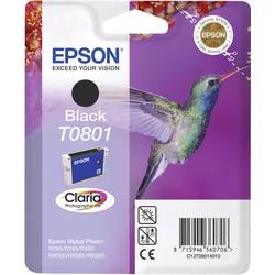 Epson Druckerpatrone T0801 Original Schwarz C 13 T 08014011
