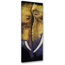 WANDBILD elefantenpärchen