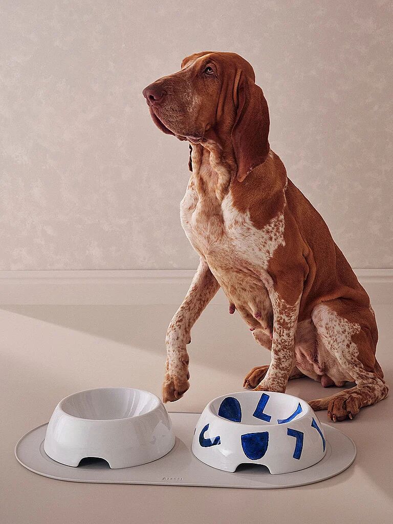 Alessi Wassernapf für Hunde gross 1,5l Itsumo Pet Yunoki weiss B