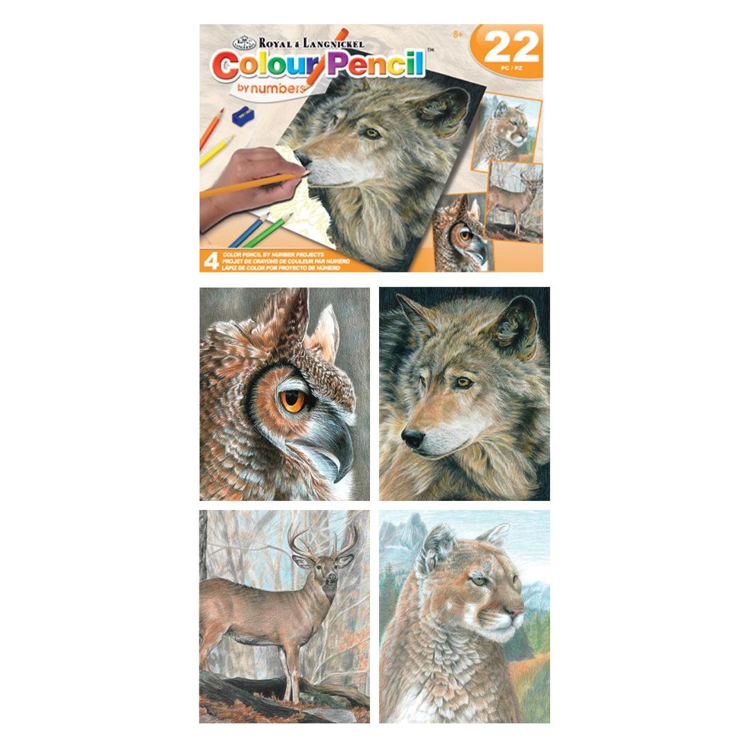 Magni Malen nach Zahlen Buntstifte Wildtiere (1x) (32835262)