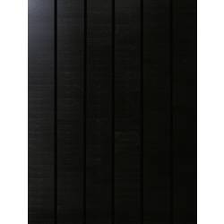 Phaesun Sun Pearl 150 Monokristallines Solarmodul 150 Wp 12 V 310347
