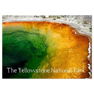 The Yellowstone National Park (Wall Calendar 2026 DIN A3 landscape), CALVENDO 12 Month Wall Calendar