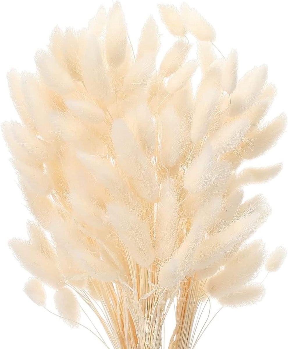 SnelShoppen 50 stuks gedroogde pampasgras bloemen wit - Extra fluffy boho decoratie