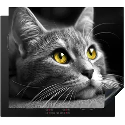 HERDABDECKPLATTE Katze - Grau - Tiere - Katze Glaskeramikkochfeldabdeckung 59x52 cm