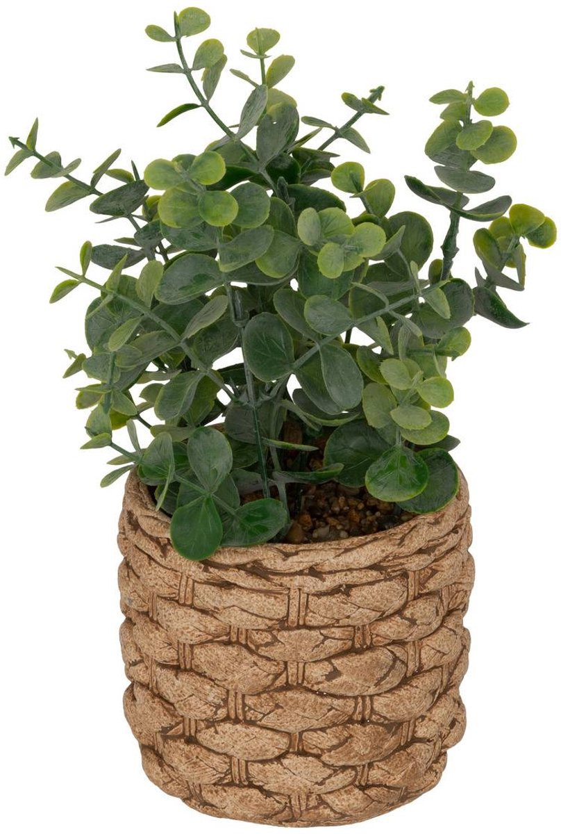 Kunst-eucalyptus JAYE