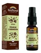 Biofloral Spray Peur de l'Abandon Fleurs de Bach Bio 20 ml - Spray