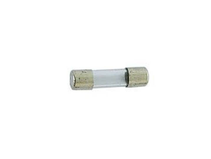ZEKERING 5 x 20mm TRAAG 0.2A - 10 stuks (10 stuks)