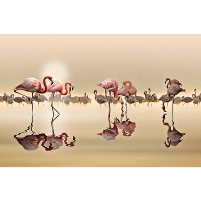 Fototapete PAPERMOON "Photo-Art NASSER OSMAN, FLAMINGOS", bunt, B:4,5m L:2,8m, Vlies, Tapeten