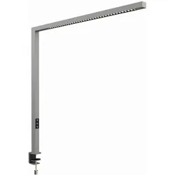 LED-Tischaufbau L. MAULplinus, Beweg.-/Lichtsensor col. var.