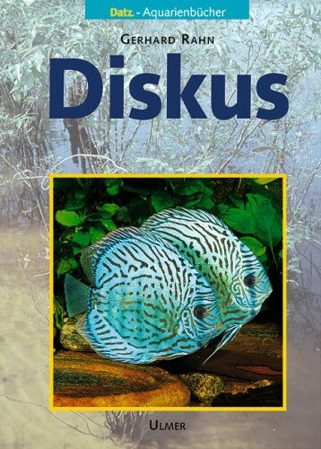 Gerhard Rahn - Diskus - Preis vom 30.09.2026 09:01:18 h