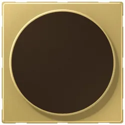 Jung Abdeckung ME WC MAG C
