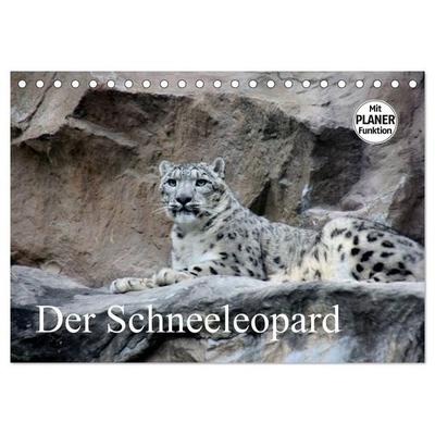 Der Schneeleopard (Tischkalender 2027 DIN A5 quer), CALVENDO Monatskalender