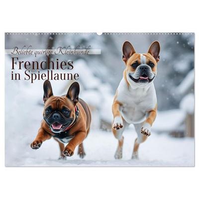 Frenchies in Spiellaune (Wandkalender 2026 DIN A2 quer), CALVENDO Monatskalender