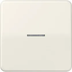 Jung Wippe Lichtleiter ws CD 590 KO5 CD590KO5