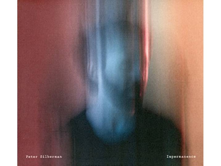 Peter Silberman - Impermanence