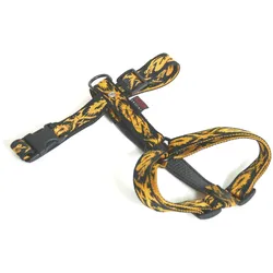 Martin Sellier Dragon (M, Hund, Spazieren), Halsband + Leine