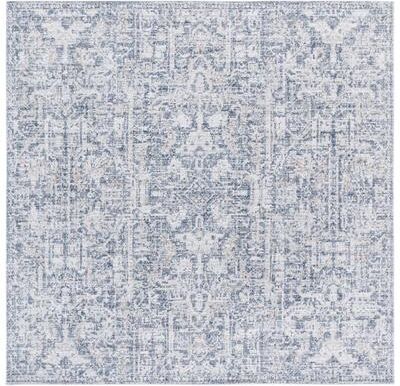 SAFAVIEH Hunter Pnina Transitional Rug
