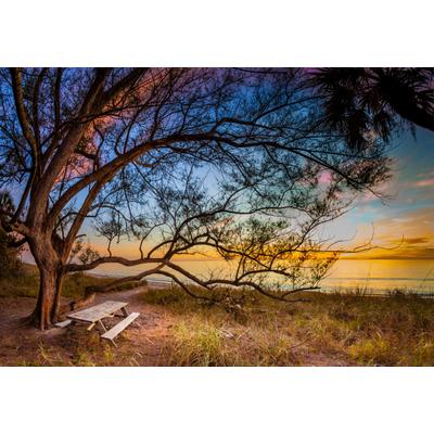 Fototapete PAPERMOON "BAUM AM STRAND-MEER OZEAN BLUMEN SONNE WIESE FLORIDA", bunt, B:3m L:2,23m, Vlies, Tapeten