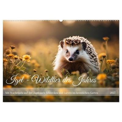 Igel - Wildtier des Jahres (Wandkalender 2027 DIN A2 quer), CALVENDO Monatskalender