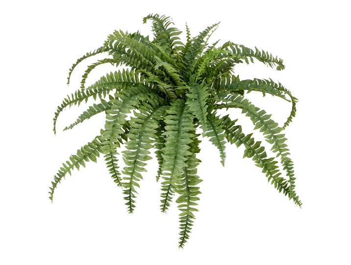 Kunstpflanze CREATIV GREEN Bostonfarn ohne Topf , grün, H:80cm Ø:100cm, Kunststoff, Kunstpflanzen, Kunstpflanze, mit zahlreichen Farnwedeln