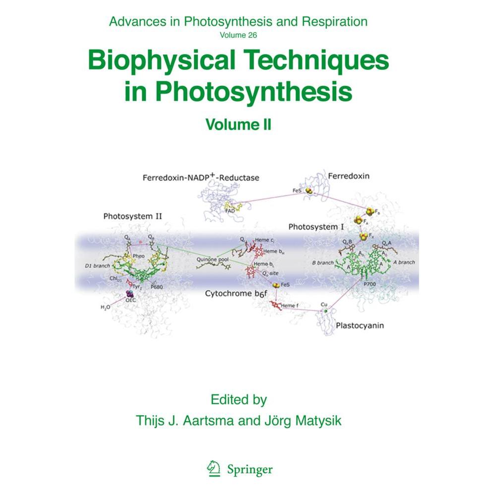 Springer Biophysical Techniques in Photosynthesis (Englisch, Softcover, Jörg Matysik, Thijs Aartsma) (55378579)