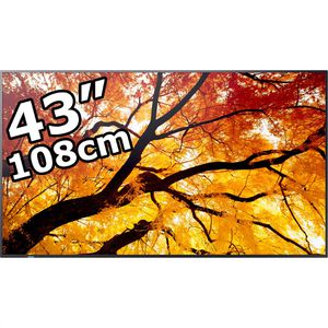 Sharp Digital-Signage MultiSync M432, 43 Zoll, 4K UHD 3840 x 2160, 550 cd/m², 24/7 Betriebszeit