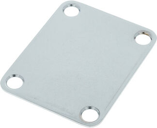 Fender Roadworn Guitar Neck Plate