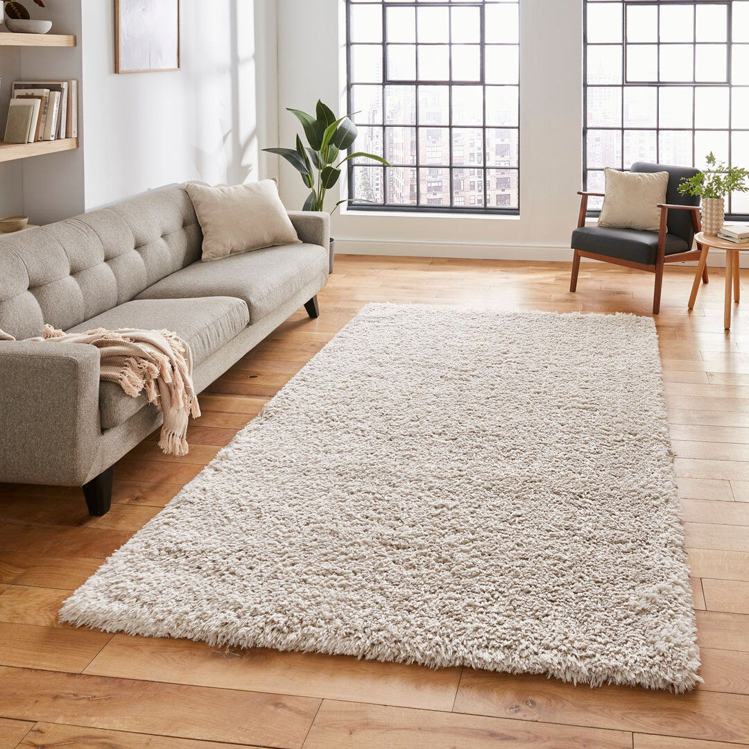 Latitude Run Alvery area rug Machine Woven Rectangle Ivory Ivory Rectangle 120 x 170cm