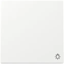 Gira Wippe Symb. Licht Schalter Reinweiß 328570