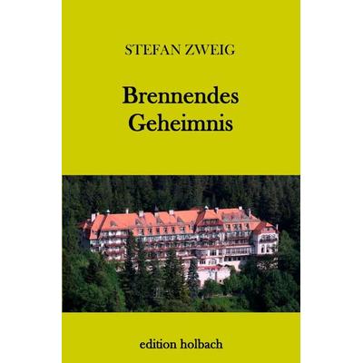 Brennendes Geheimnis, Taschenbuch von Stefan Zweig, Epubli, 978-3-7450-5190-2