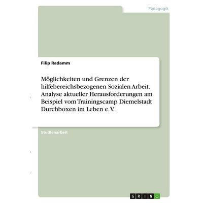 Möglichkeiten und Grenzen der hilfebereichsbezogenen Sozialen Arbeit. Analyse aktueller Herausforderungen am Beispiel vom Trainingscamp Diemelstadt