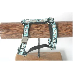 Image Bowxy (M, Hund, Spazieren), Halsband + Leine
