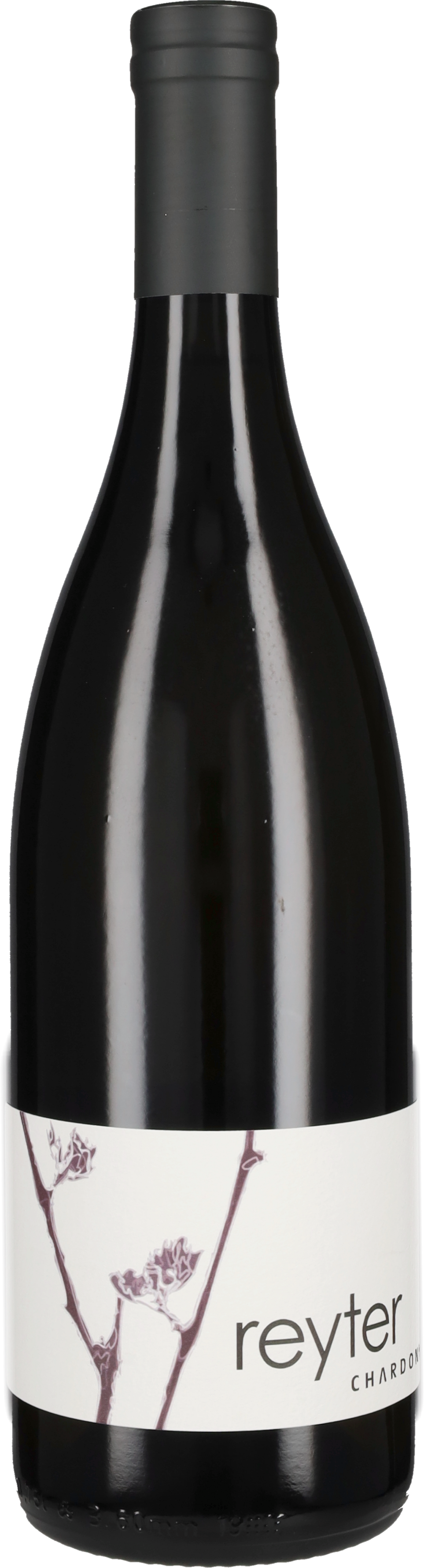 Chardonnay Reyter 2024
