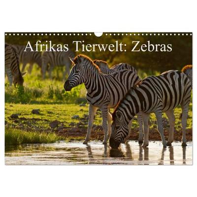Afrikas Tierwelt: Zebras (Wandkalender 2026 DIN A3 quer), CALVENDO Monatskalender