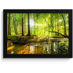 POSTER MIT RAHMEN Wald - Landschaft - Wasser - Bäume - Sonne - Grün - Natur 30x20 cm