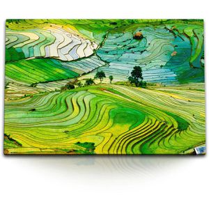 Sinus-Art Wandbild Reisfelder Vietnam, Leinwand, Querformat, 120 x 80 cm